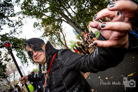 www.theflashmob.photography     facebook.com/theflashmobphoto