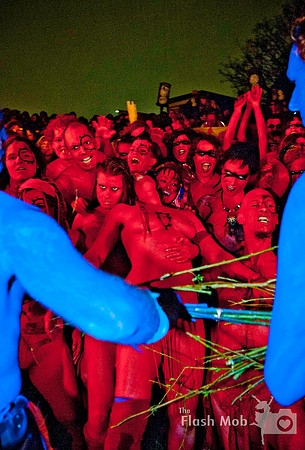 www.theflashmob.photography     facebook.com/theflashmobphoto