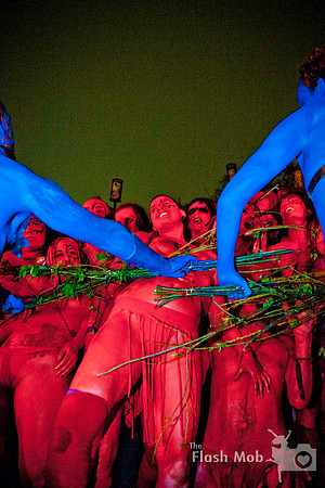 www.theflashmob.photography     facebook.com/theflashmobphoto