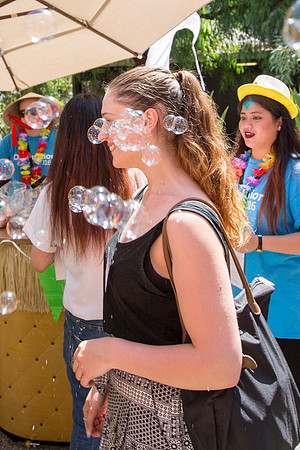 © The Flash Mob