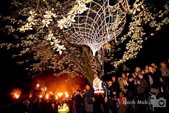 www.theflashmob.photography     facebook.com/theflashmobphoto