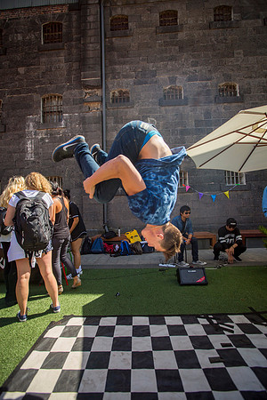 © The Flash Mob