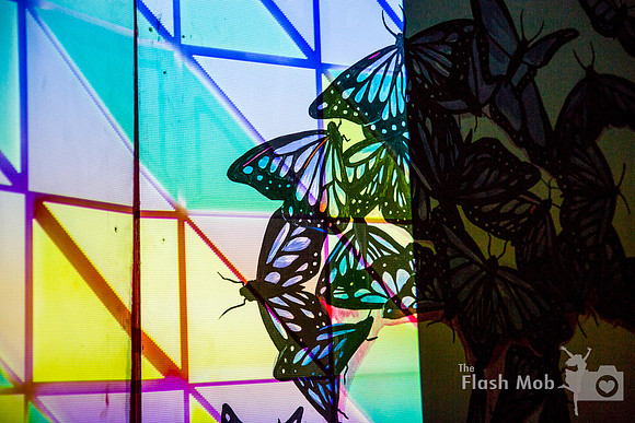 www.theflashmob.photography     facebook.com/theflashmobphoto