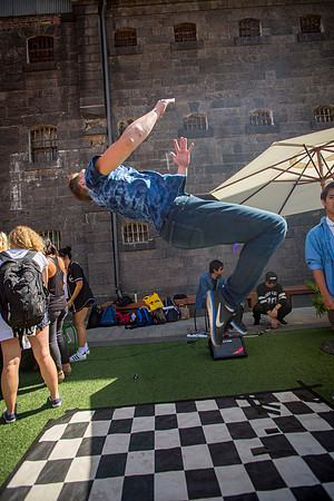 © The Flash Mob